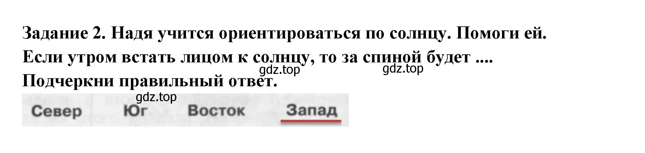 Решение номер 2 (страница 81) гдз по окружающему миру 2 класс Плешаков, Плешаков, проверочные работы