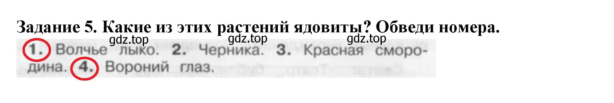 Решение номер 5 (страница 87) гдз по окружающему миру 2 класс Плешаков, Плешаков, проверочные работы