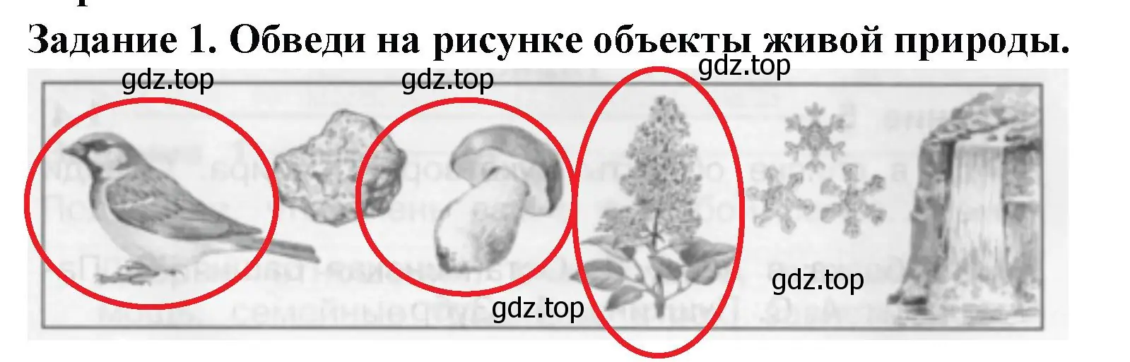 Решение номер 1 (страница 87) гдз по окружающему миру 2 класс Плешаков, Плешаков, проверочные работы