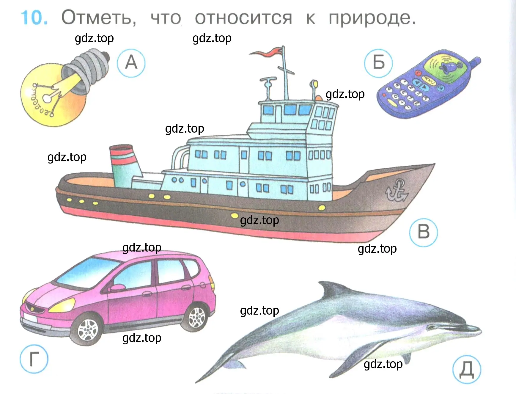 Условие номер 10 (страница 6) гдз по окружающему миру 2 класс Плешаков, Гара, тесты