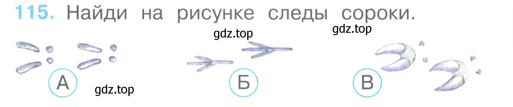 Условие номер 115 (страница 42) гдз по окружающему миру 2 класс Плешаков, Гара, тесты