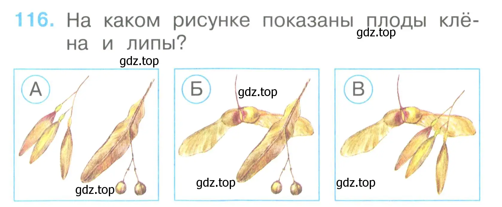 Условие номер 116 (страница 42) гдз по окружающему миру 2 класс Плешаков, Гара, тесты