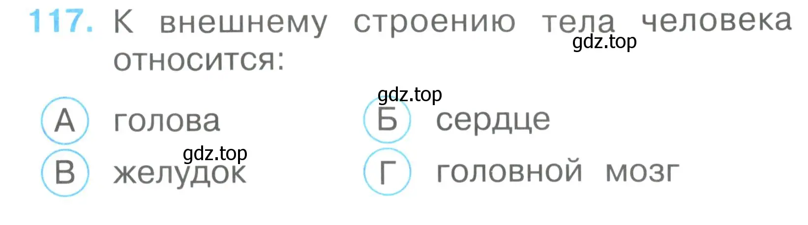 Условие номер 117 (страница 43) гдз по окружающему миру 2 класс Плешаков, Гара, тесты