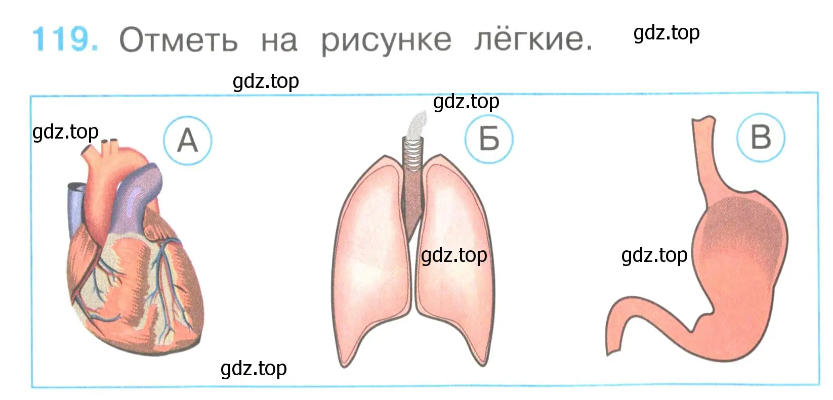 Условие номер 119 (страница 43) гдз по окружающему миру 2 класс Плешаков, Гара, тесты