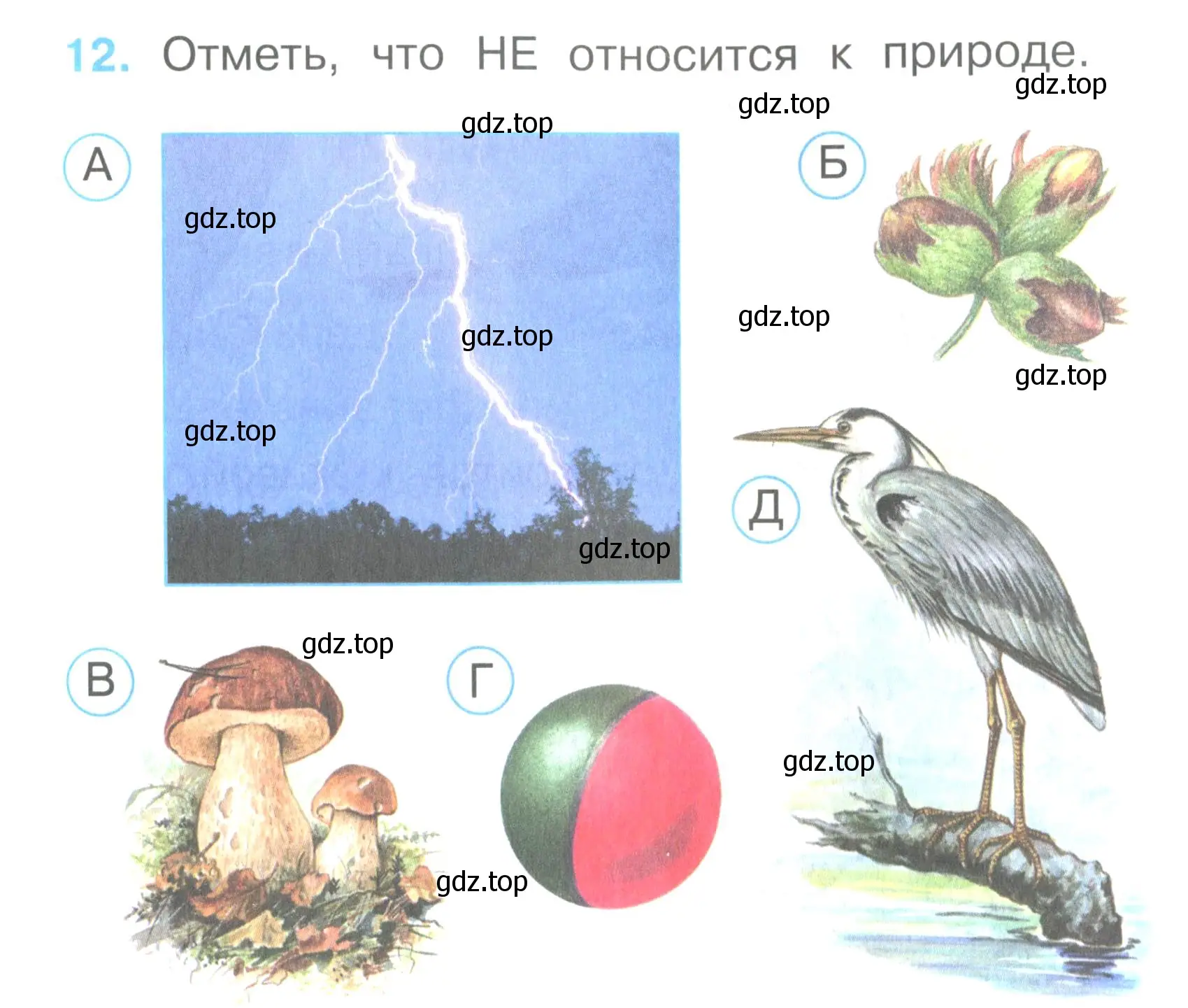 Условие номер 12 (страница 7) гдз по окружающему миру 2 класс Плешаков, Гара, тесты