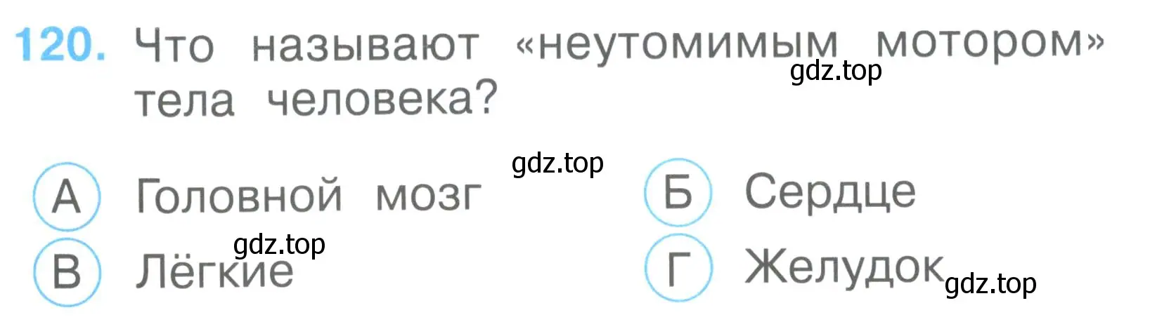 Условие номер 120 (страница 44) гдз по окружающему миру 2 класс Плешаков, Гара, тесты