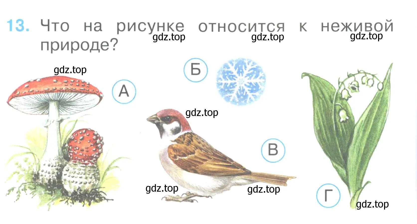 Условие номер 13 (страница 8) гдз по окружающему миру 2 класс Плешаков, Гара, тесты