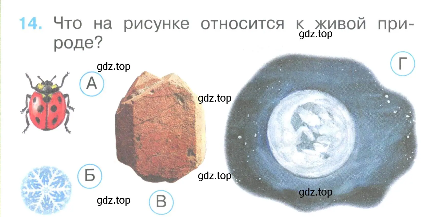 Условие номер 14 (страница 8) гдз по окружающему миру 2 класс Плешаков, Гара, тесты