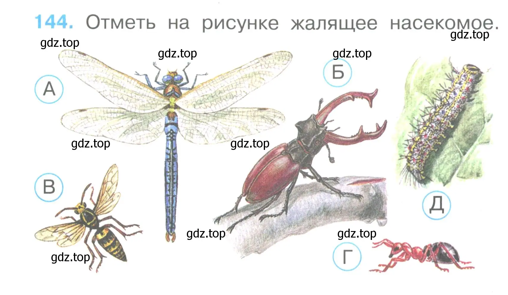 Условие номер 144 (страница 51) гдз по окружающему миру 2 класс Плешаков, Гара, тесты