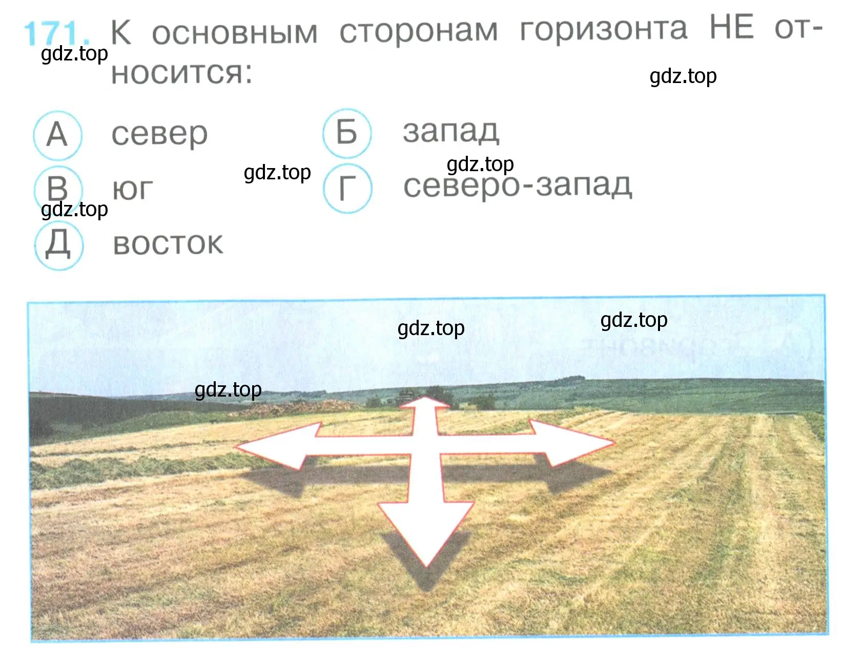 Условие номер 171 (страница 62) гдз по окружающему миру 2 класс Плешаков, Гара, тесты