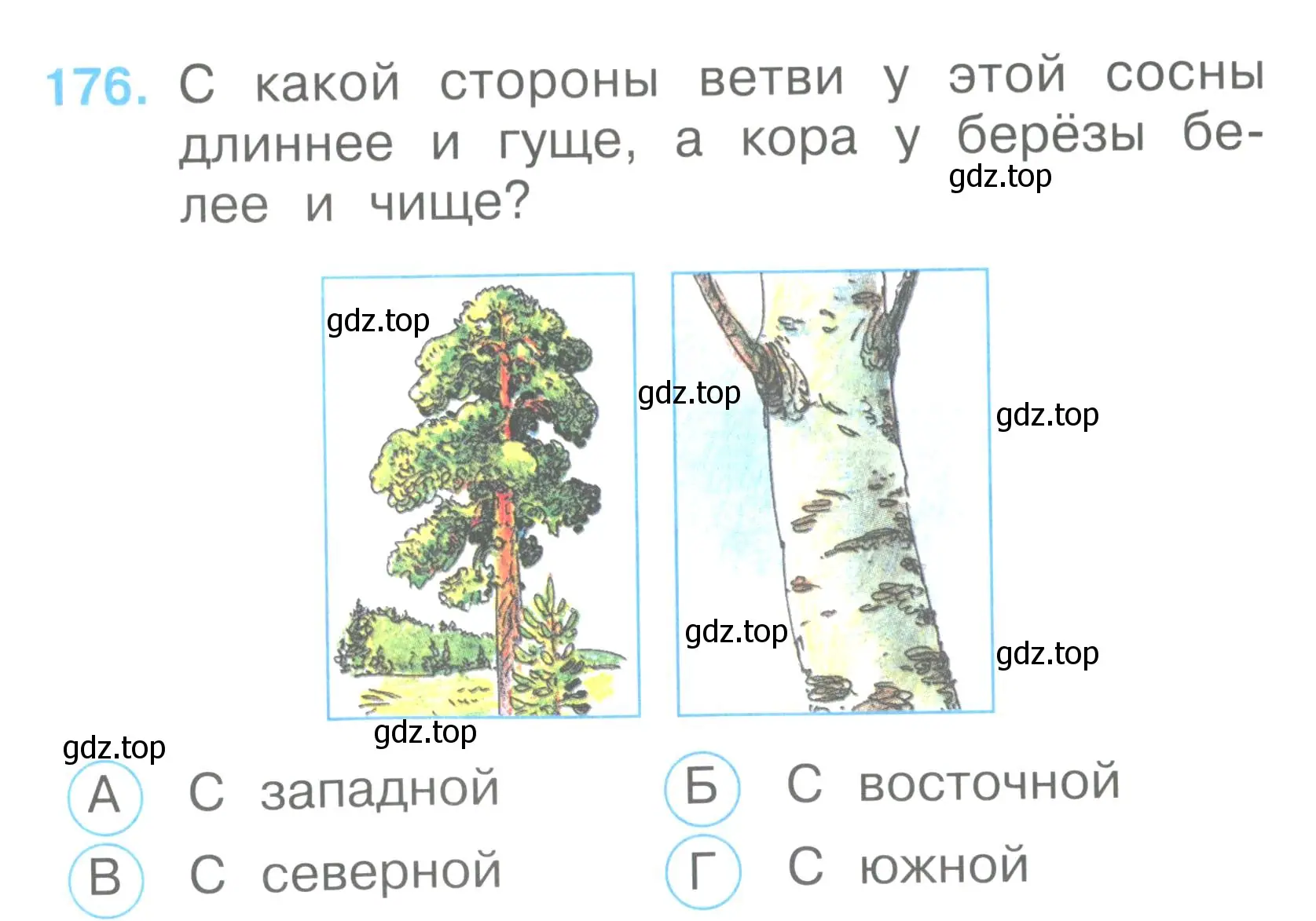 Условие номер 176 (страница 64) гдз по окружающему миру 2 класс Плешаков, Гара, тесты