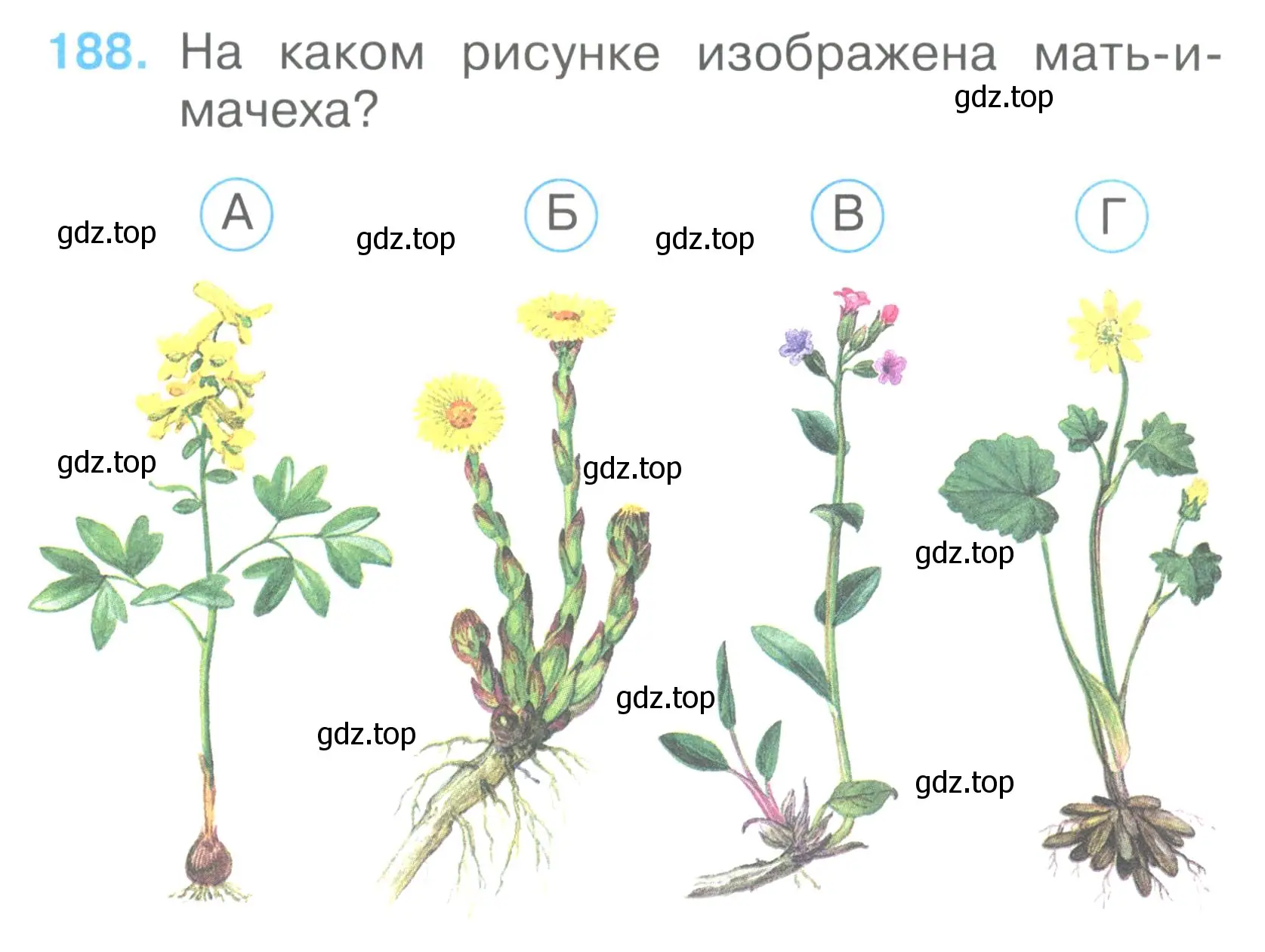 Условие номер 188 (страница 69) гдз по окружающему миру 2 класс Плешаков, Гара, тесты