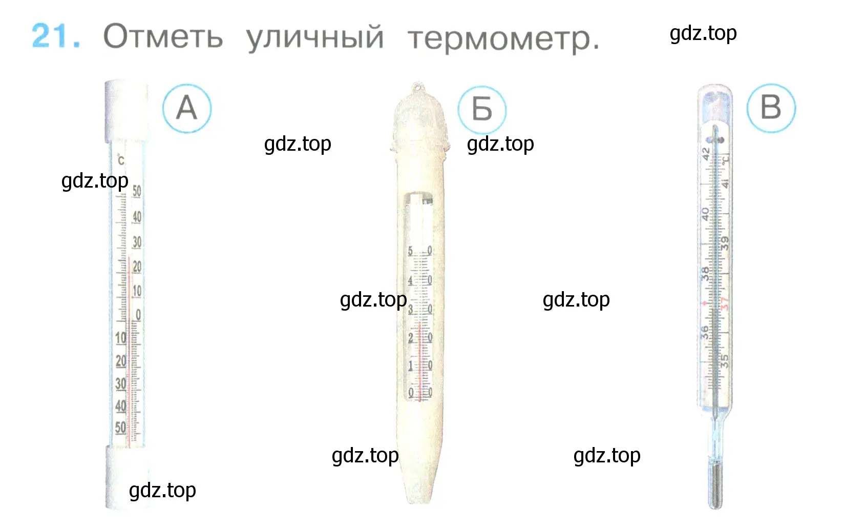 Условие номер 21 (страница 11) гдз по окружающему миру 2 класс Плешаков, Гара, тесты