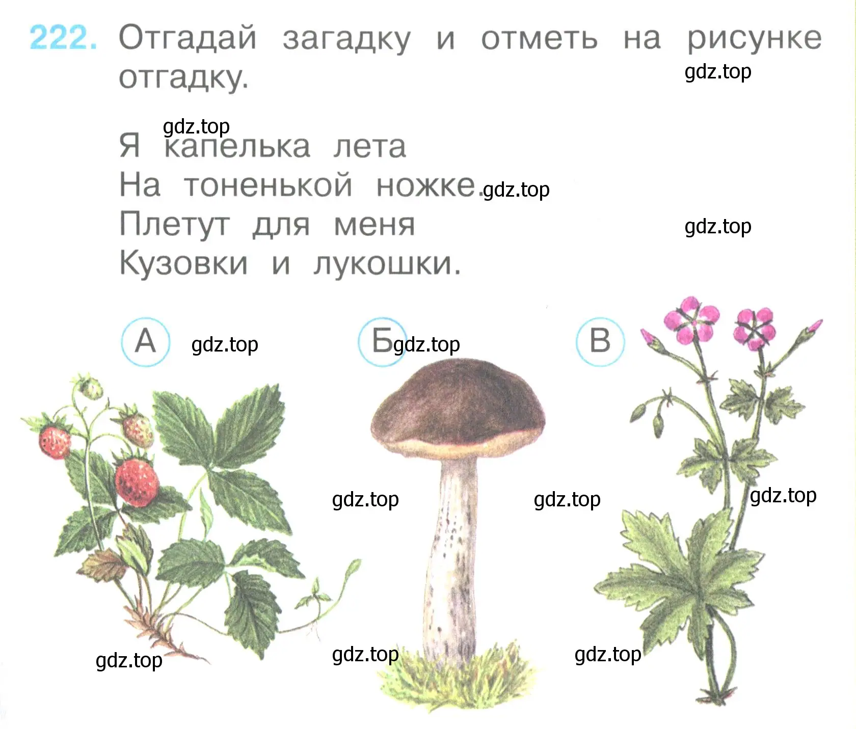 Условие номер 222 (страница 83) гдз по окружающему миру 2 класс Плешаков, Гара, тесты