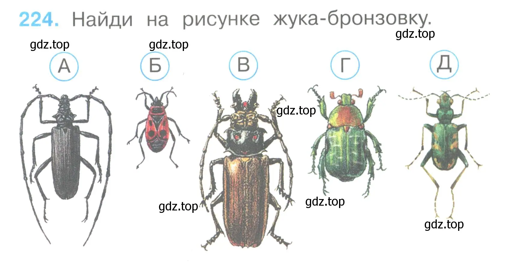 Условие номер 224 (страница 84) гдз по окружающему миру 2 класс Плешаков, Гара, тесты