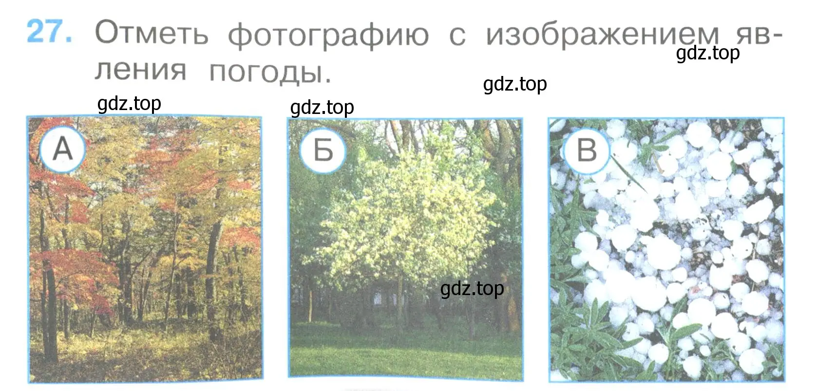 Условие номер 27 (страница 12) гдз по окружающему миру 2 класс Плешаков, Гара, тесты