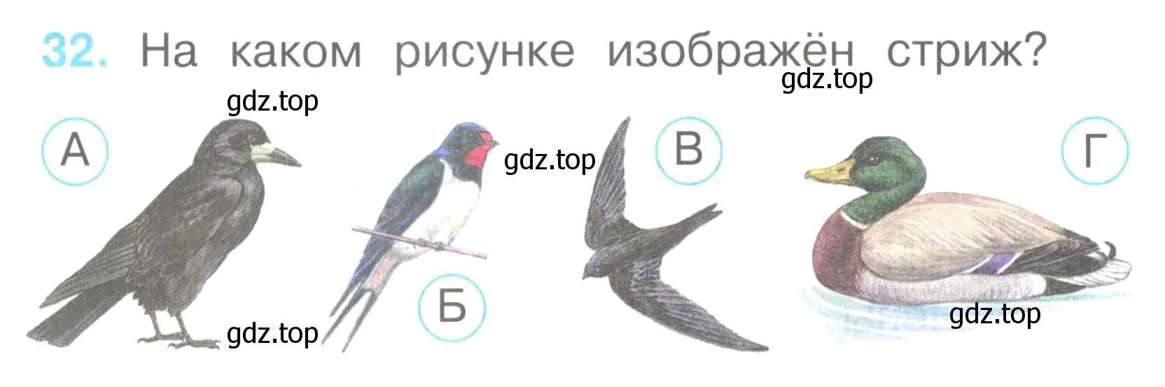 Условие номер 32 (страница 14) гдз по окружающему миру 2 класс Плешаков, Гара, тесты