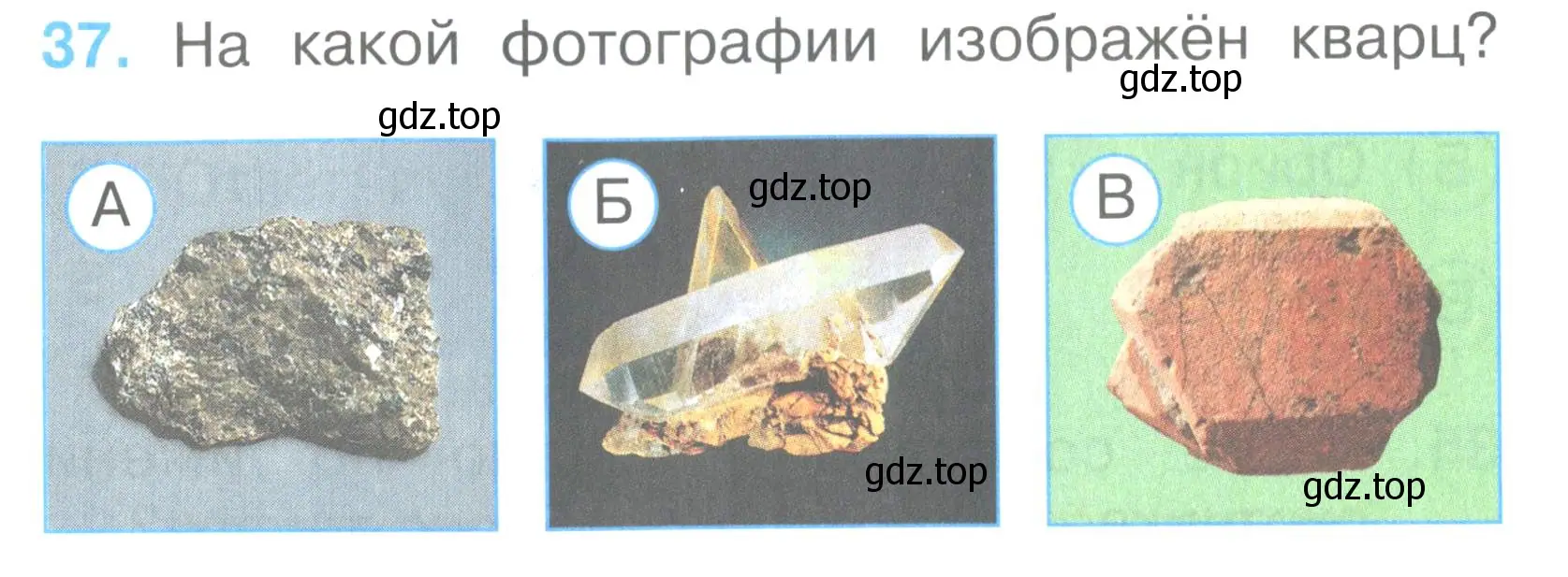 Условие номер 37 (страница 16) гдз по окружающему миру 2 класс Плешаков, Гара, тесты