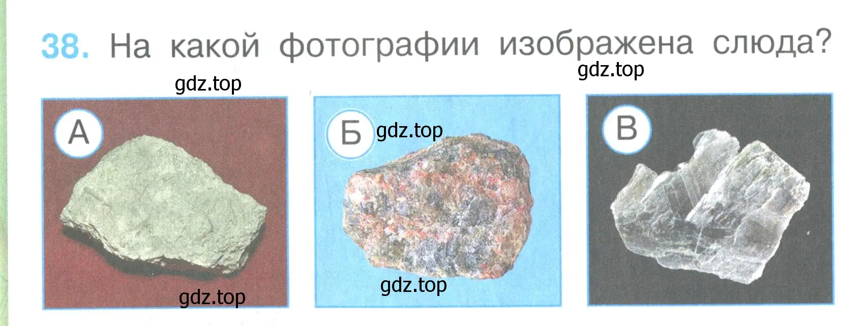 Условие номер 38 (страница 16) гдз по окружающему миру 2 класс Плешаков, Гара, тесты