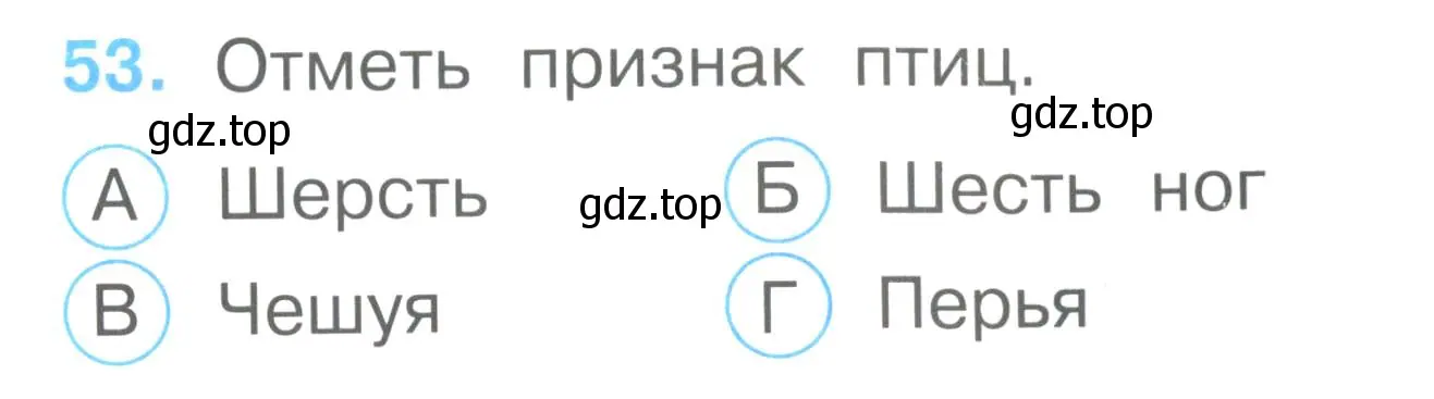 Условие номер 53 (страница 21) гдз по окружающему миру 2 класс Плешаков, Гара, тесты