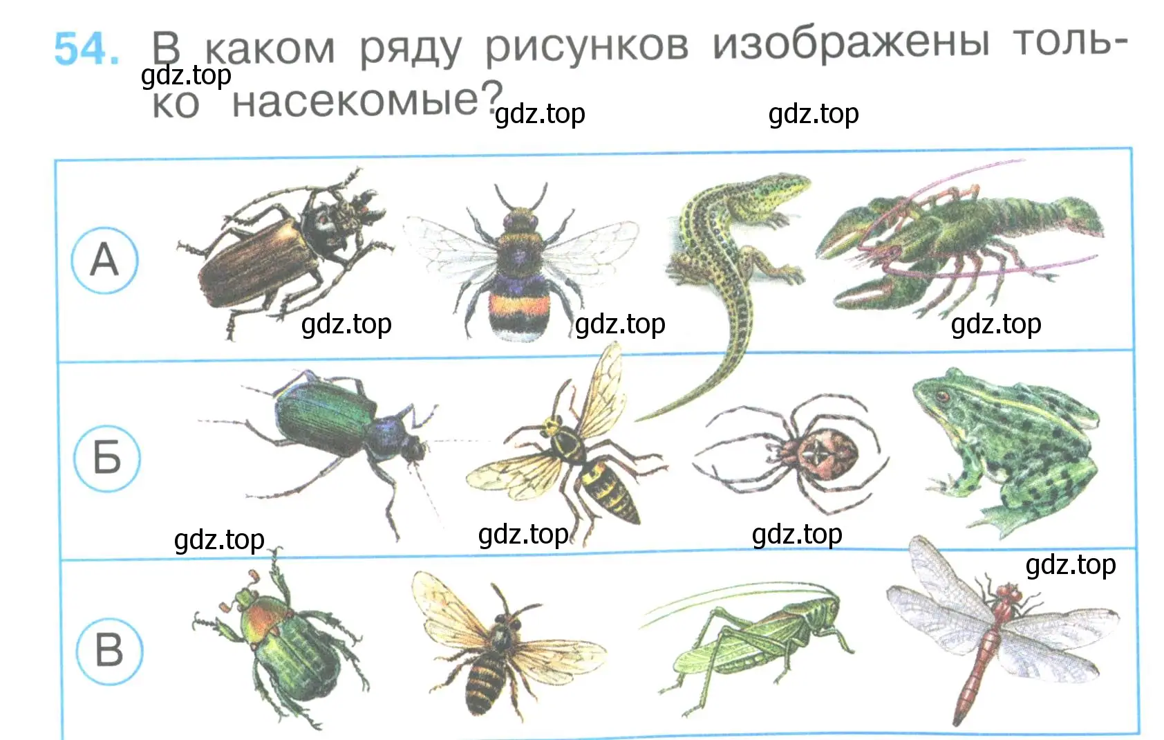 Условие номер 54 (страница 21) гдз по окружающему миру 2 класс Плешаков, Гара, тесты