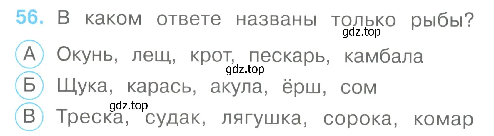 Условие номер 56 (страница 22) гдз по окружающему миру 2 класс Плешаков, Гара, тесты