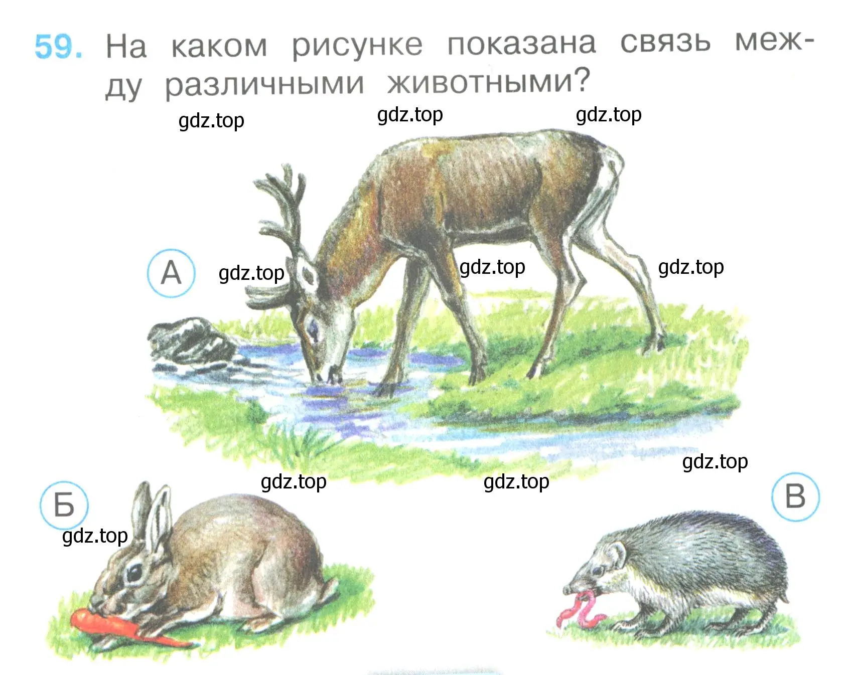 Условие номер 59 (страница 23) гдз по окружающему миру 2 класс Плешаков, Гара, тесты