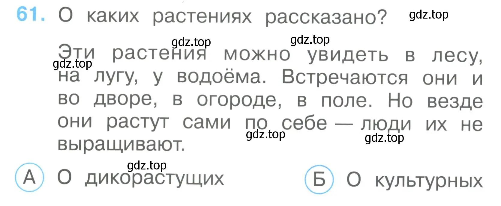 Условие номер 61 (страница 24) гдз по окружающему миру 2 класс Плешаков, Гара, тесты