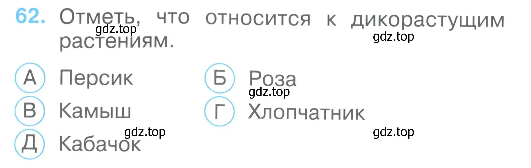 Условие номер 62 (страница 24) гдз по окружающему миру 2 класс Плешаков, Гара, тесты