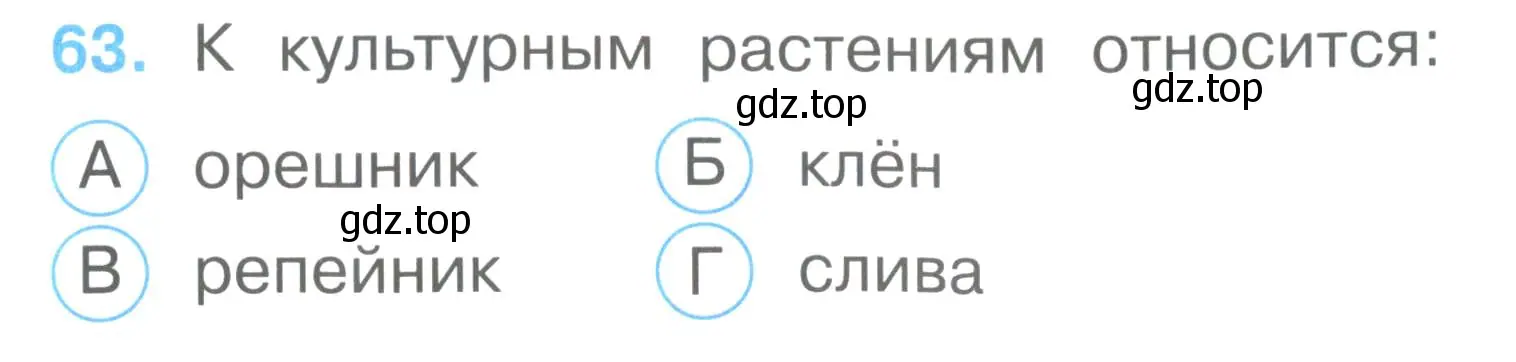 Условие номер 63 (страница 25) гдз по окружающему миру 2 класс Плешаков, Гара, тесты