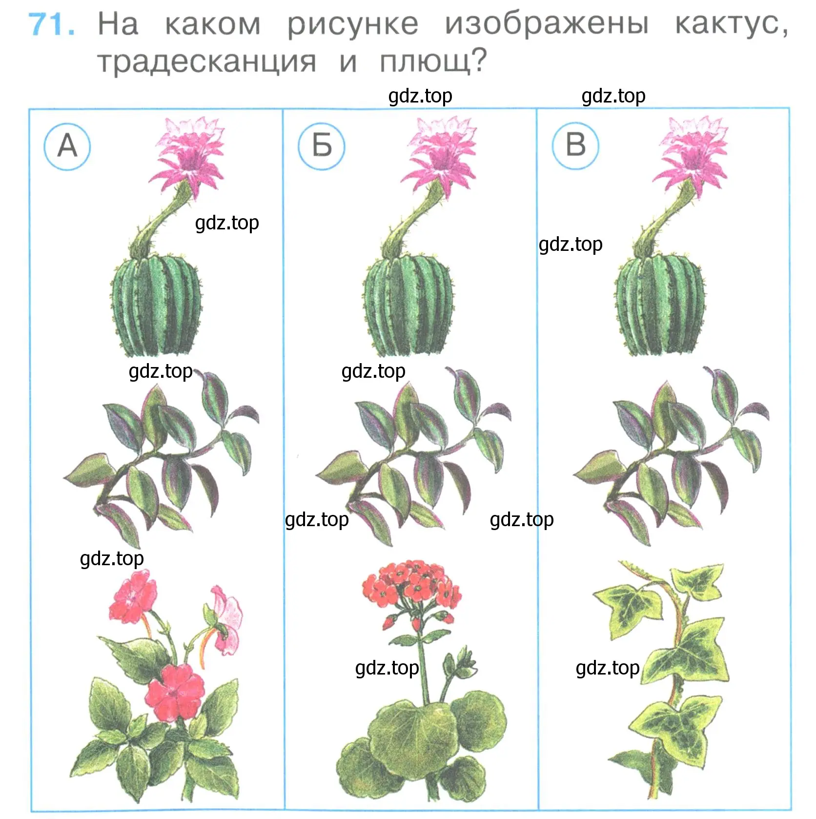 Условие номер 71 (страница 28) гдз по окружающему миру 2 класс Плешаков, Гара, тесты