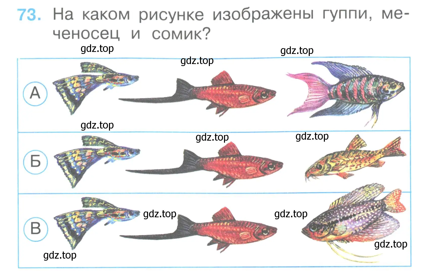 Условие номер 73 (страница 29) гдз по окружающему миру 2 класс Плешаков, Гара, тесты