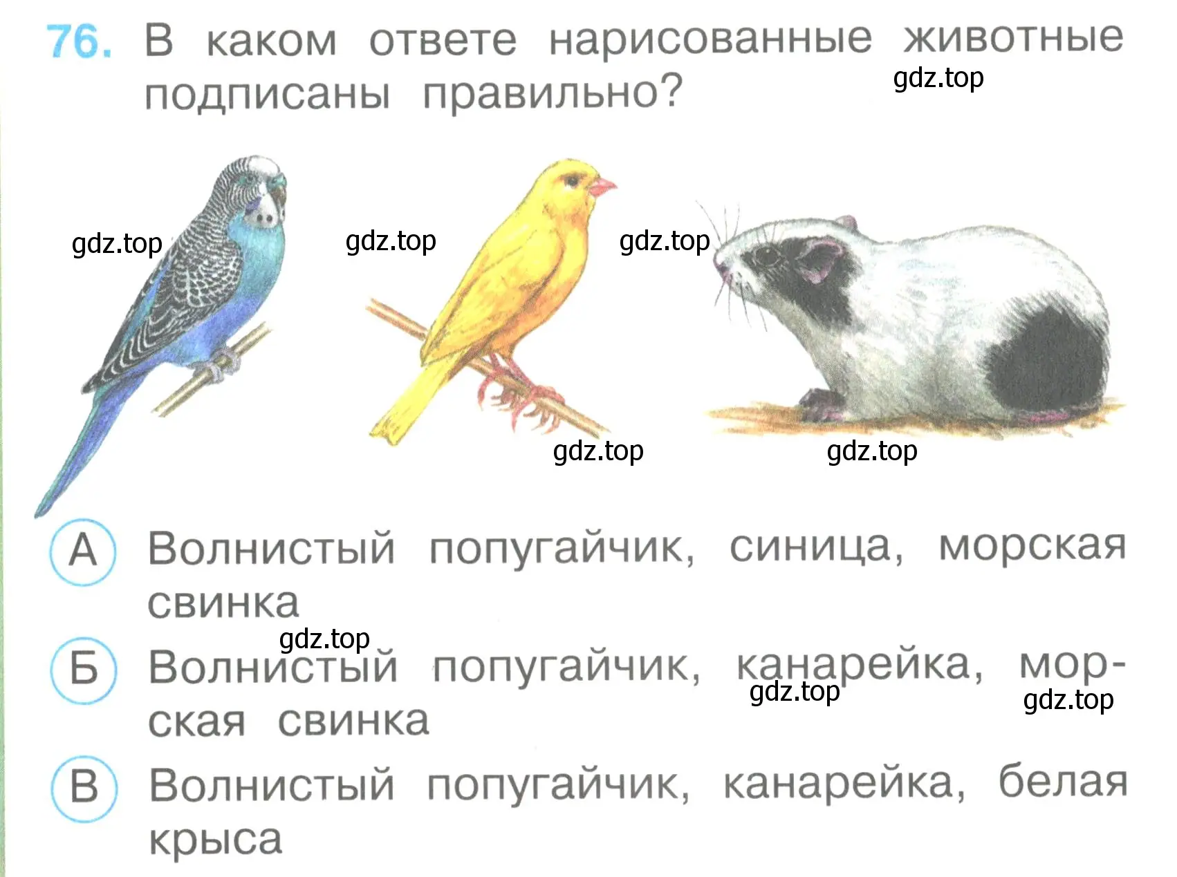 Условие номер 76 (страница 30) гдз по окружающему миру 2 класс Плешаков, Гара, тесты