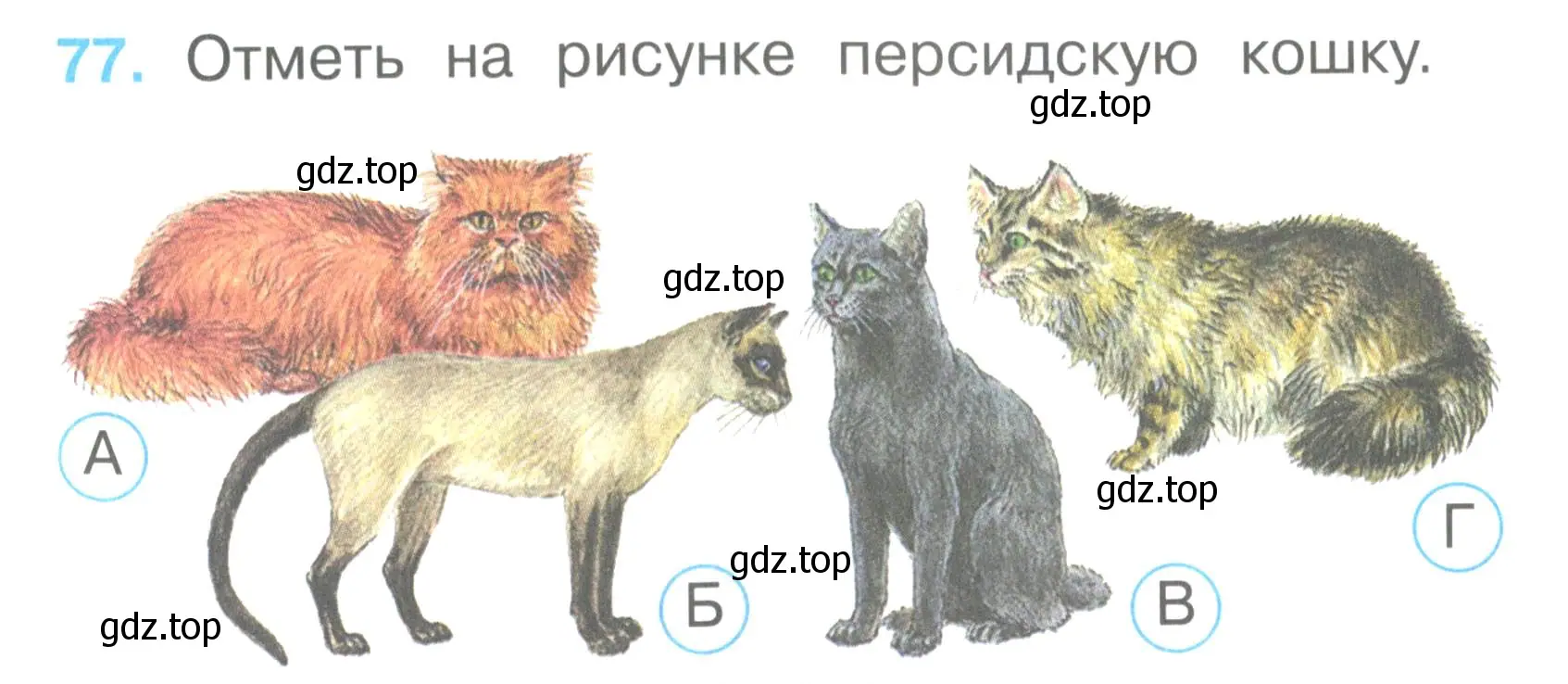 Условие номер 77 (страница 30) гдз по окружающему миру 2 класс Плешаков, Гара, тесты