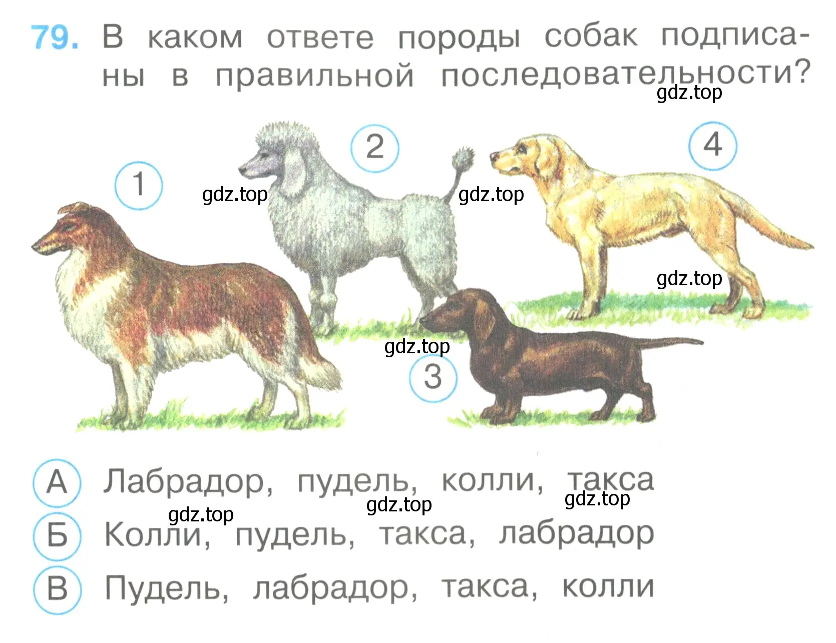 Условие номер 79 (страница 31) гдз по окружающему миру 2 класс Плешаков, Гара, тесты