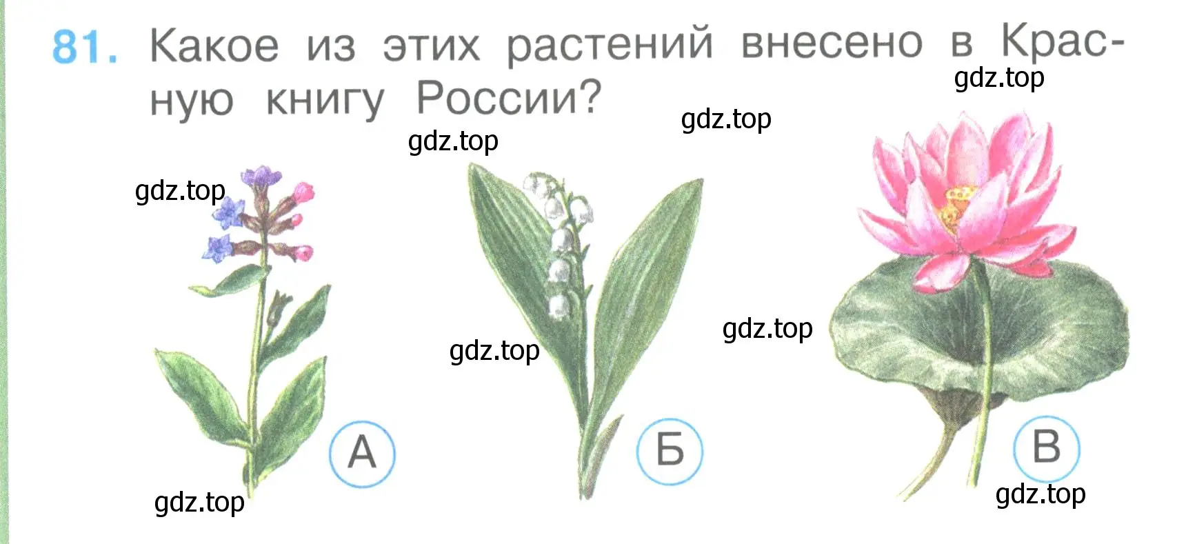 Условие номер 81 (страница 32) гдз по окружающему миру 2 класс Плешаков, Гара, тесты