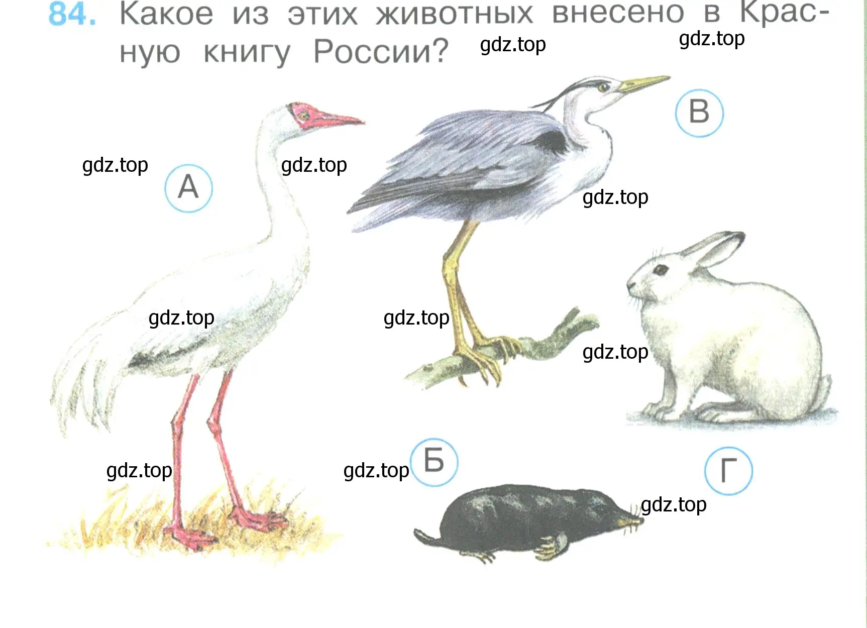 Условие номер 84 (страница 33) гдз по окружающему миру 2 класс Плешаков, Гара, тесты