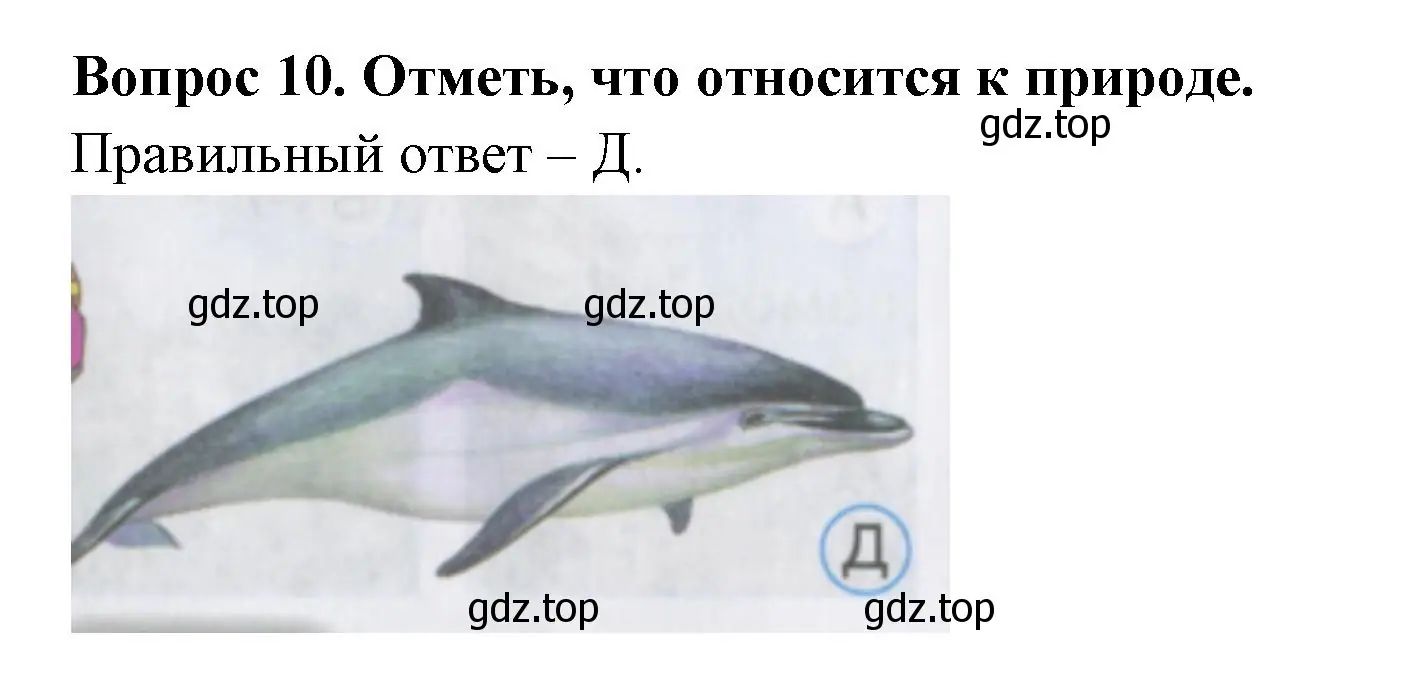 Решение номер 10 (страница 6) гдз по окружающему миру 2 класс Плешаков, Гара, тесты