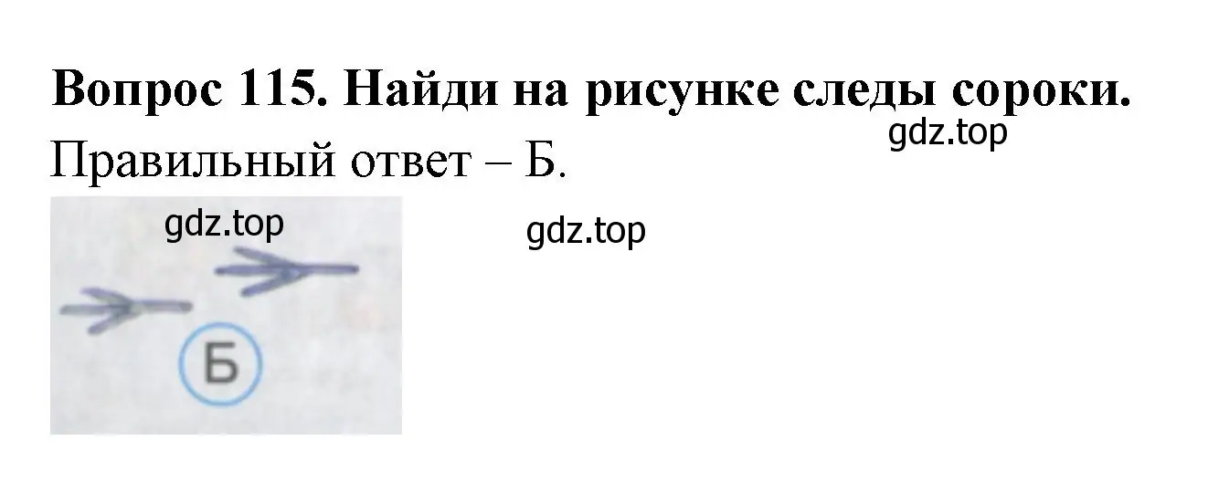 Решение номер 115 (страница 42) гдз по окружающему миру 2 класс Плешаков, Гара, тесты