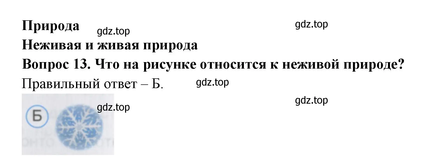 Решение номер 13 (страница 8) гдз по окружающему миру 2 класс Плешаков, Гара, тесты