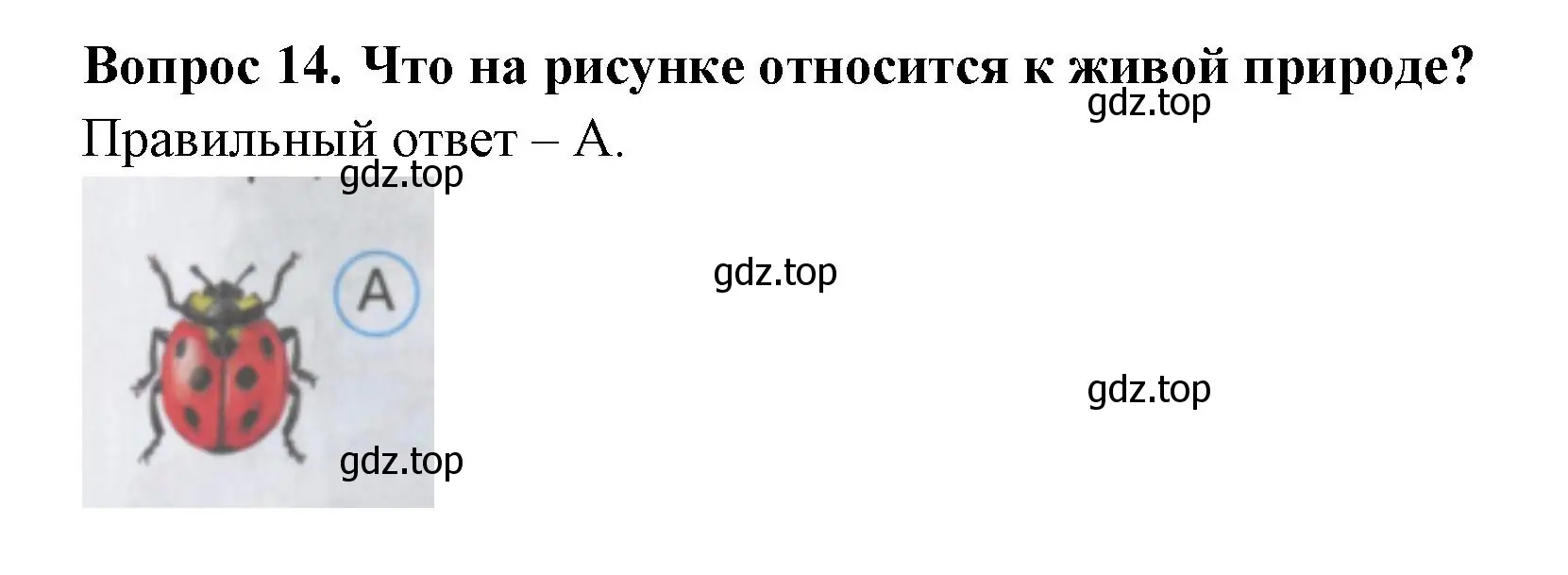 Решение номер 14 (страница 8) гдз по окружающему миру 2 класс Плешаков, Гара, тесты