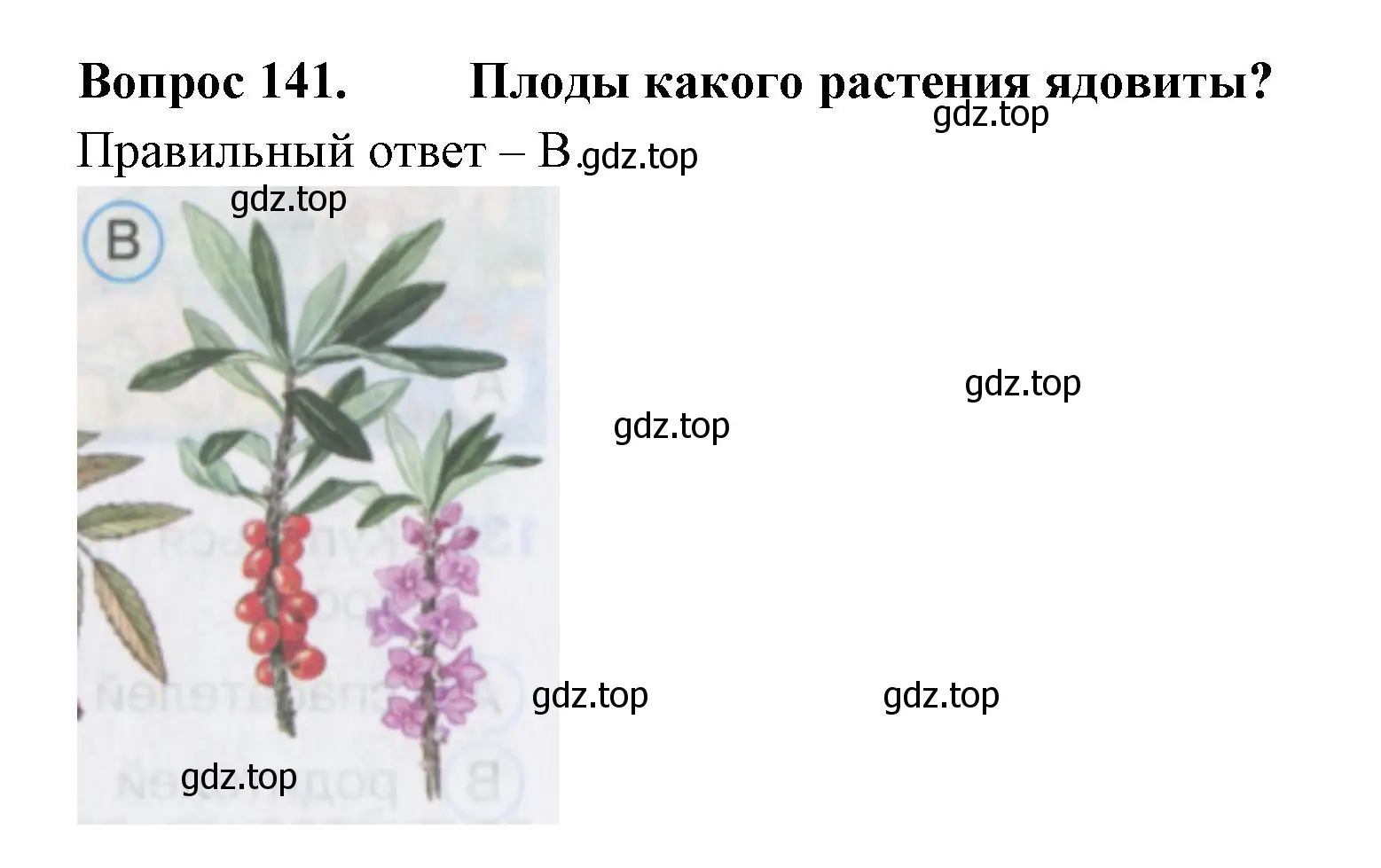 Решение номер 141 (страница 50) гдз по окружающему миру 2 класс Плешаков, Гара, тесты