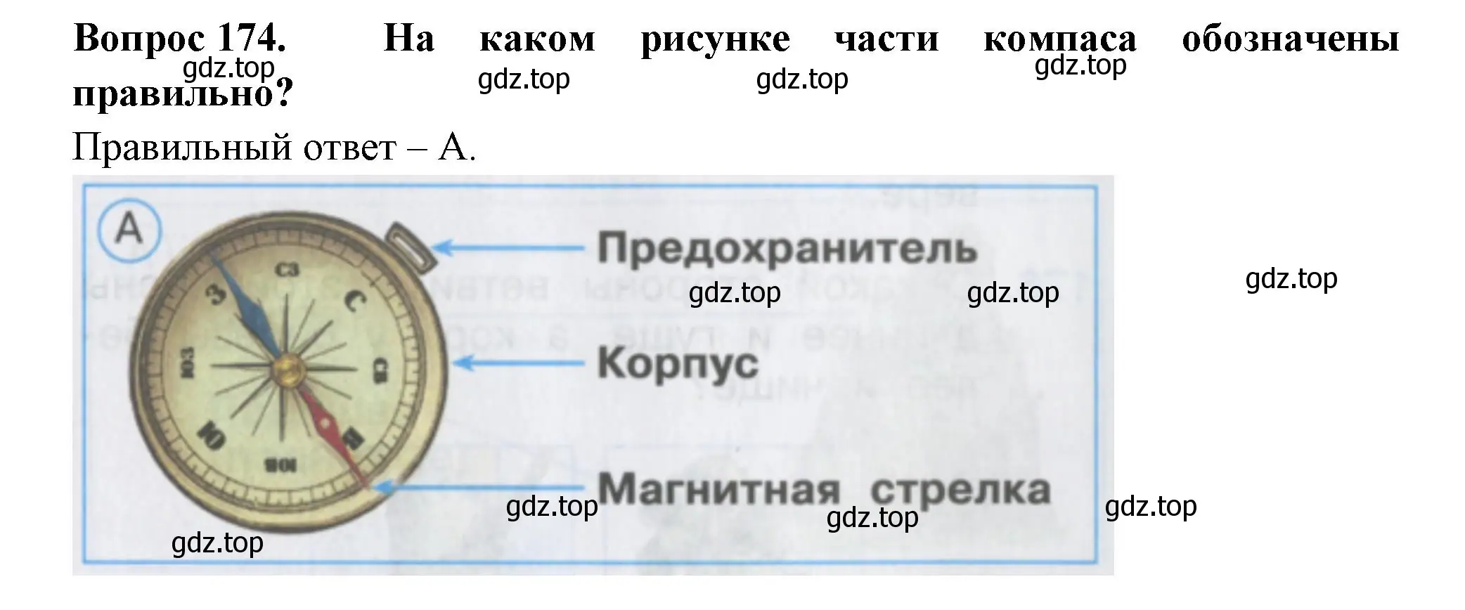 Решение номер 174 (страница 63) гдз по окружающему миру 2 класс Плешаков, Гара, тесты