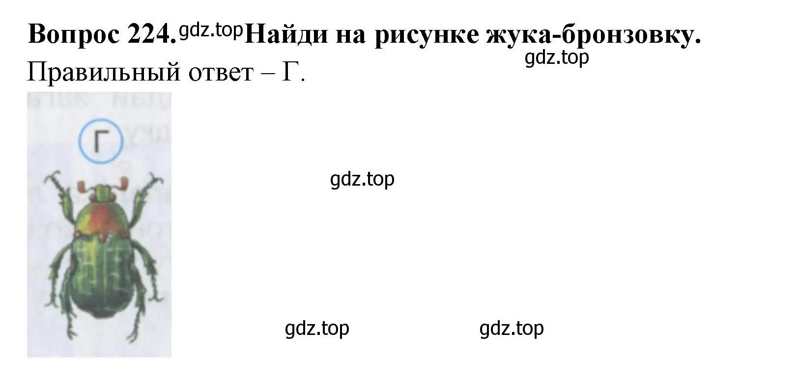 Решение номер 224 (страница 84) гдз по окружающему миру 2 класс Плешаков, Гара, тесты