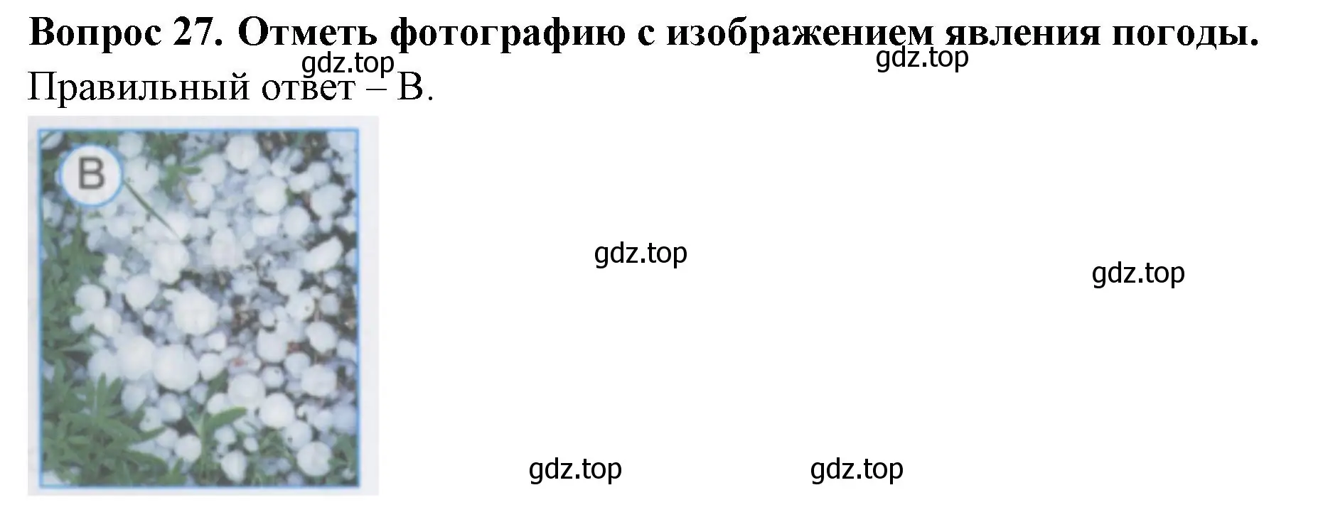 Решение номер 27 (страница 12) гдз по окружающему миру 2 класс Плешаков, Гара, тесты