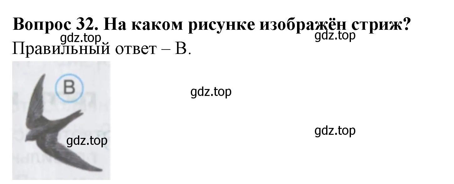 Решение номер 32 (страница 14) гдз по окружающему миру 2 класс Плешаков, Гара, тесты