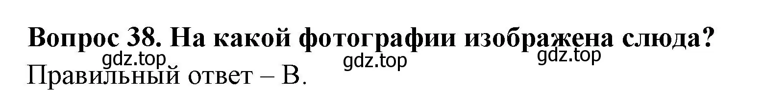 Решение номер 38 (страница 16) гдз по окружающему миру 2 класс Плешаков, Гара, тесты