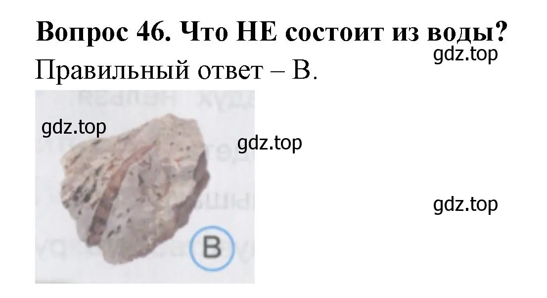 Решение номер 46 (страница 18) гдз по окружающему миру 2 класс Плешаков, Гара, тесты