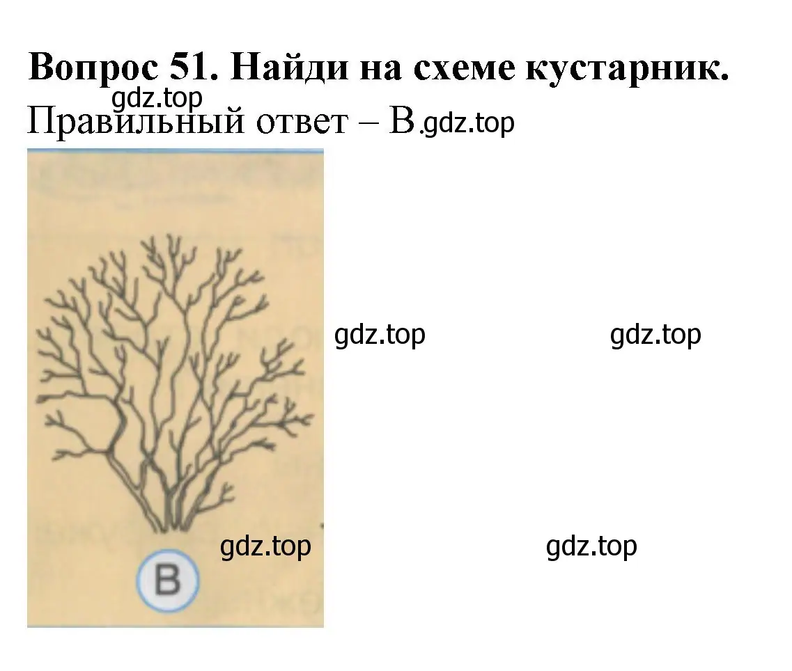 Решение номер 51 (страница 20) гдз по окружающему миру 2 класс Плешаков, Гара, тесты