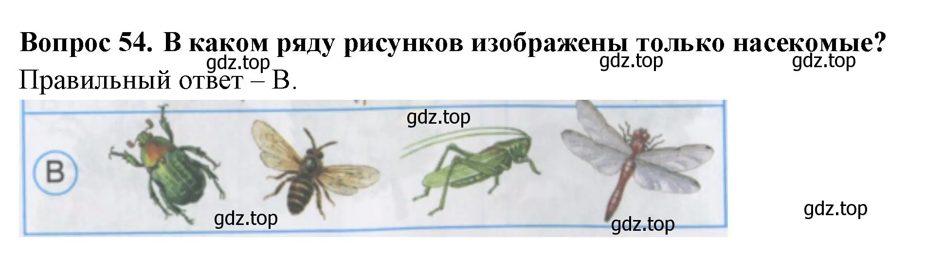 Решение номер 54 (страница 21) гдз по окружающему миру 2 класс Плешаков, Гара, тесты